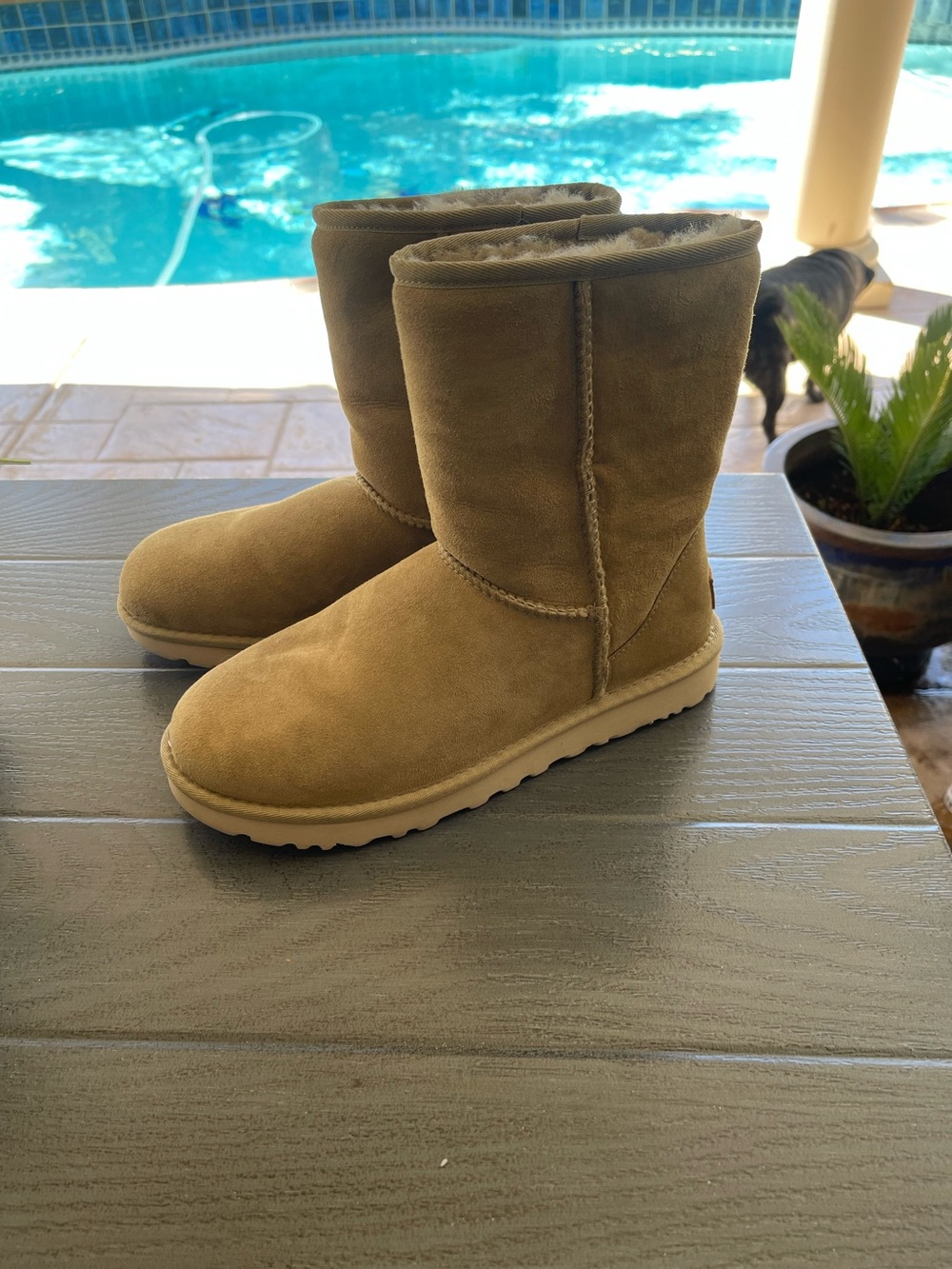 UGG Classic Short Shearling Boots in Chestnut